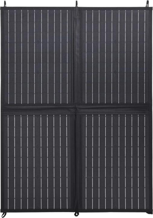 Image du produit VidaXL Lorene (100 W, 3.59 kg)
