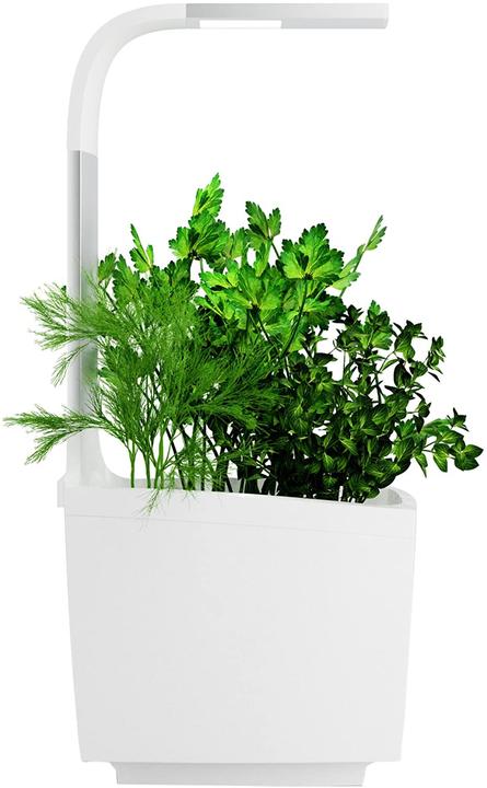 Image du produit Tregren Pot à herbes T3 (19.50 cm)