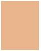 Actual product image Bourjois Healthy Mix Clean & Vegan BB Cream (0.5 Warm Ivory)