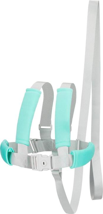 Actual product image Fillikid Child safety harness