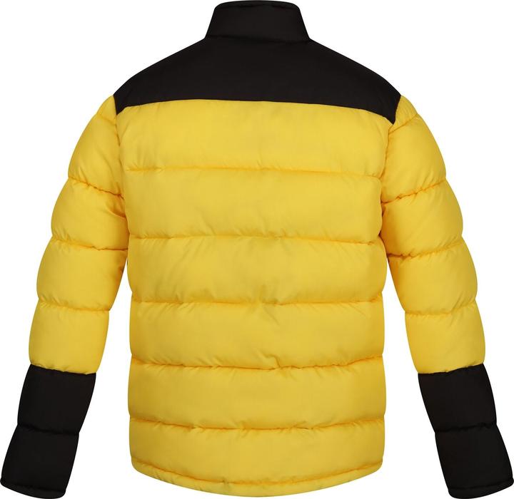 Image du produit Regatta - Doudoune VINTAGE - Homme (S)