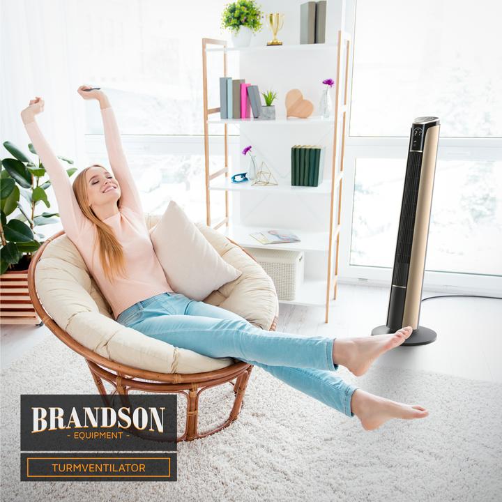 Image du produit Brandson Ventilateur de tour (52 dB)