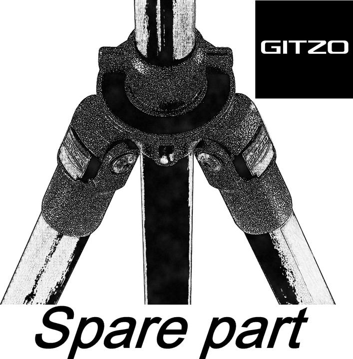 Immagine prodotto Gitzo Piastra per la leva di sgancio rapido (Ricambi per treppiedi)