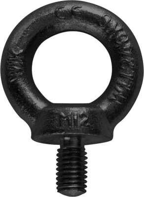 Actual product image Riggatec Eyebolt M8 | black | WLL 140kg - DIN 580 | schwarz verzinkt