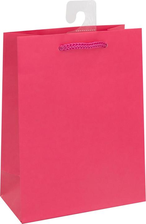 Actual product image Idena Gift. FSC mix 4 assorted colours, M 23x18x8cm (Gift bag, 1 x)