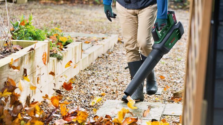 Produktbild Bosch Home & Garden AdvancedLeafBlower 36V-750 (Akkubetrieb, Laubbläser)