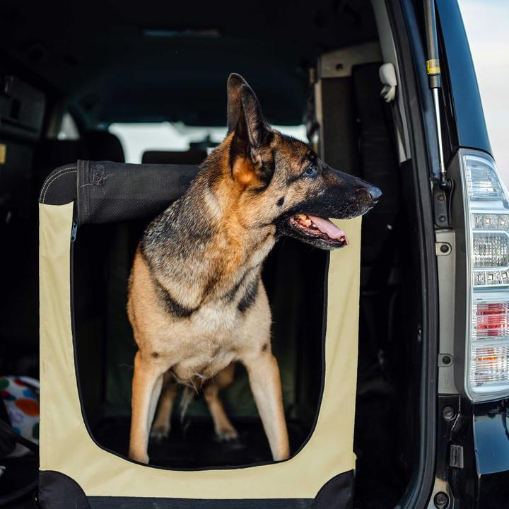 Produktbild Wiltec Fudajo XXL (Hund, Katze, Kleintier, Faltbar, Atmungsaktiv)