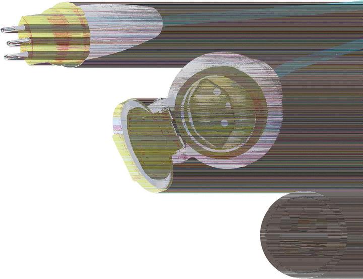 Image du produit Steffen Câble de rallonge (10 m, Type 13)