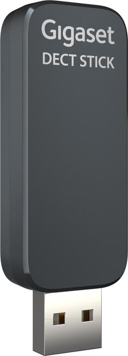 Actual product image Gigaset Pro ION