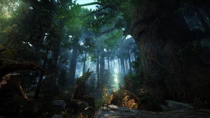 Produktbild Pearl Abyss Black Desert: Prestige Edition (PS4, DE)