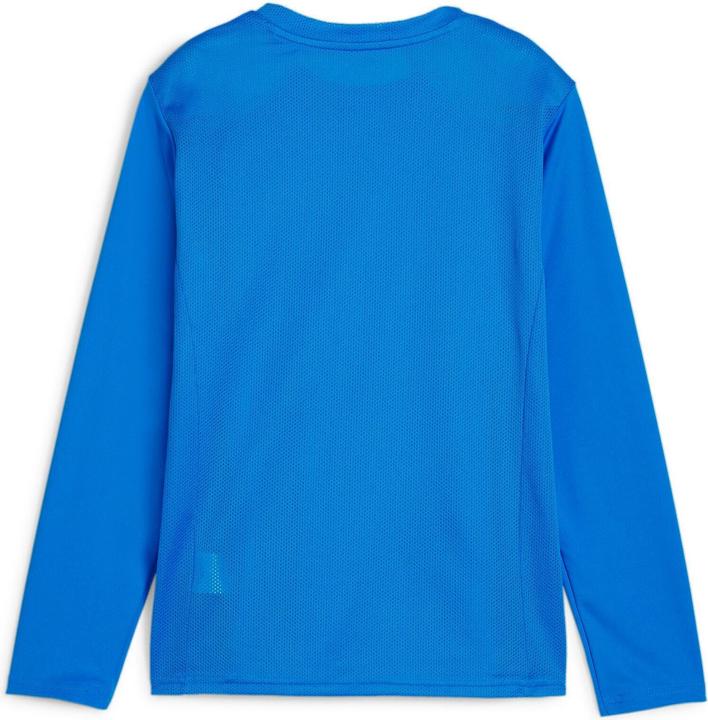 Immagine prodotto Puma Maglia TeamGOAL LS Jr (128)