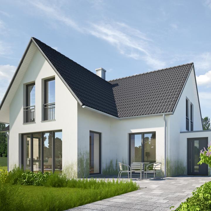 Produktbild Mellerud Algen & Moos Entferner