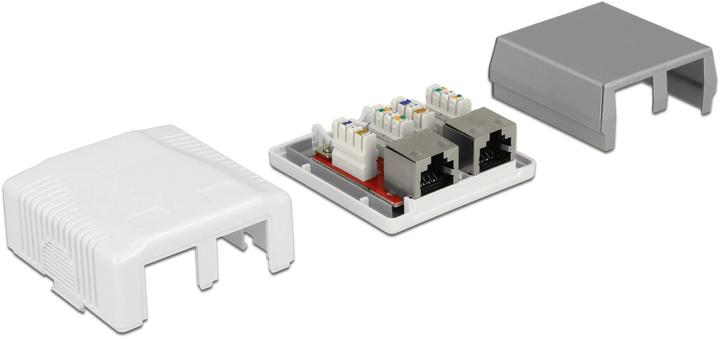 Image du produit Delock RJ-45 Cat.6A Boîtier : 2 ports (Accessoires réseau)