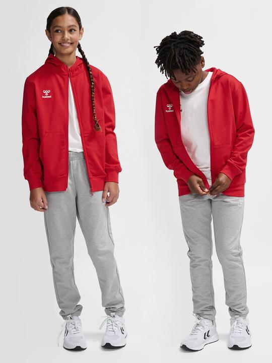 Actual product image hummel Hmlgo 2.0 Zip Hoodie Kids (116)