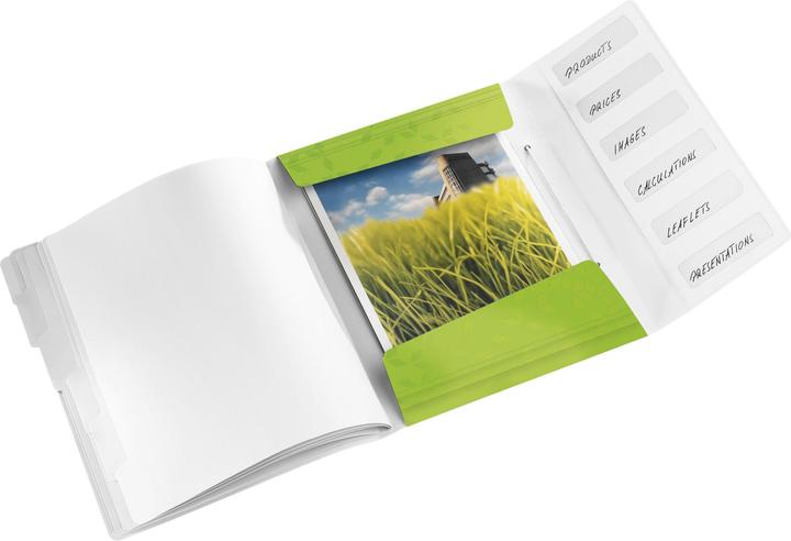 Image du produit Leitz Classeur WOW, DIN A4, PP, 6 compartiments, surface laminée vert métallique, structure de surface (A4, 1 x)