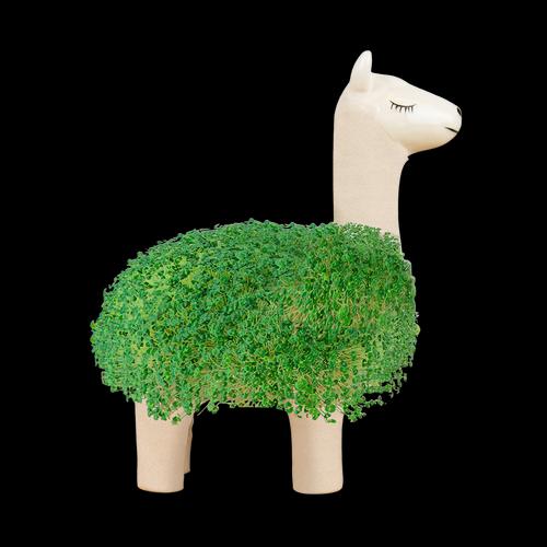 Image du produit Gift Republic Lama végétal de chia