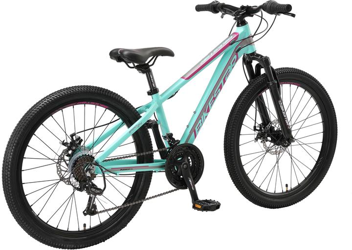 Bikestar Hardtail (32 cm)