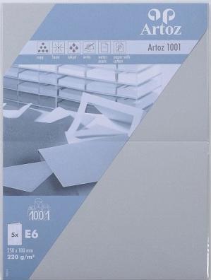 Produktbild Artoz 1001 Karten lichtgrau (E6, 220 g/m², 5 x)
