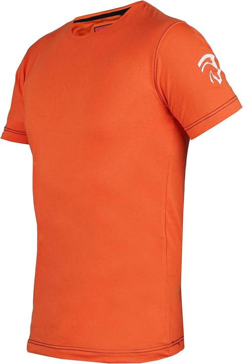 knhs fan nl gold 20