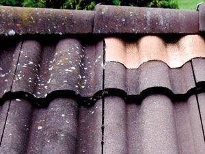 Actual product image Eneroid Roof copper strip