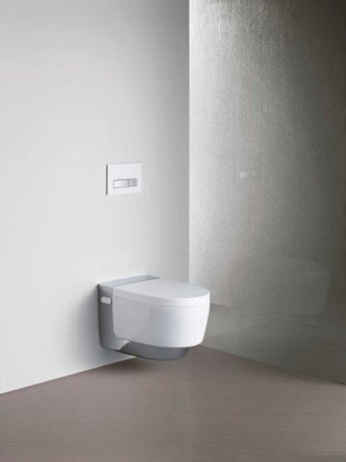 Actual product image Geberit Aquaclean Mera Classic
