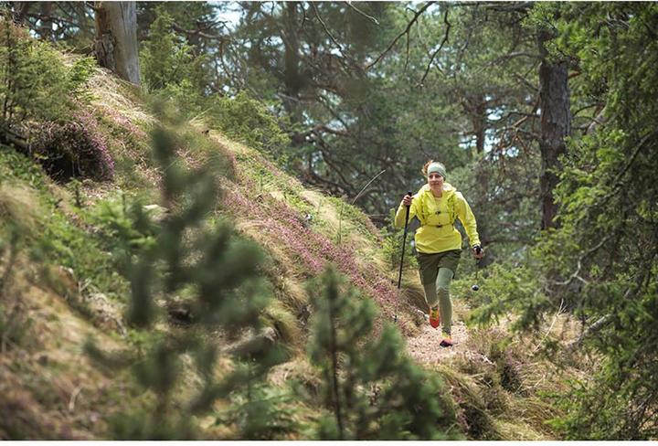 Produktbild Salewa Carbonium Alp Speed Poles (46 - 130 cm)