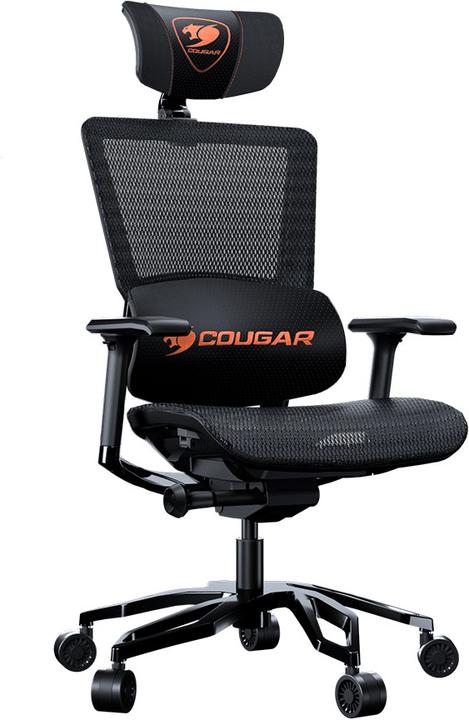 Produktbild Cougar Argo