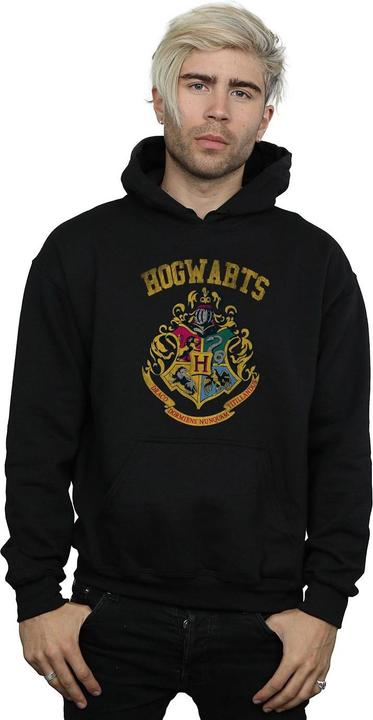Image du produit - Sweat à capuche HOGWARTS VARSITY - Homme (3XL)