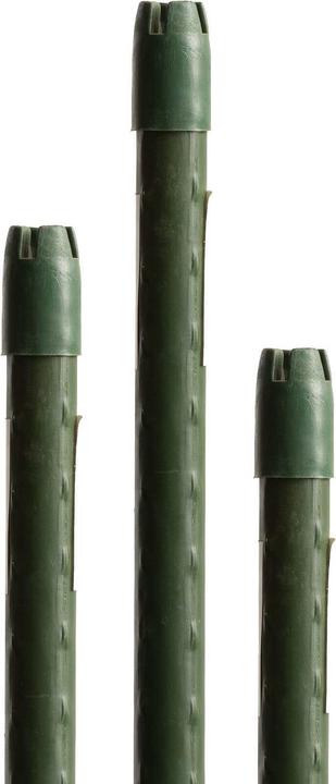 Miogarden Pflanzenstab (1.10 cm, 150 cm)