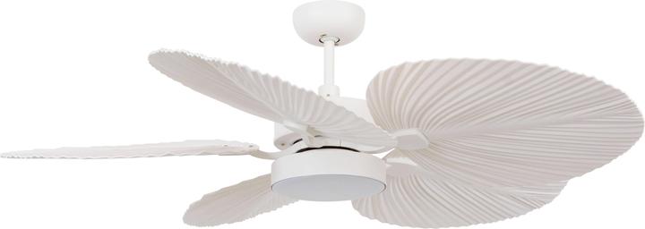 Image du produit Beacon Bali