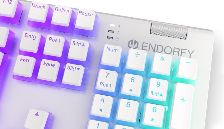 Produktbild Endorfy Keyboard Omnis (DE, Kabelgebunden)