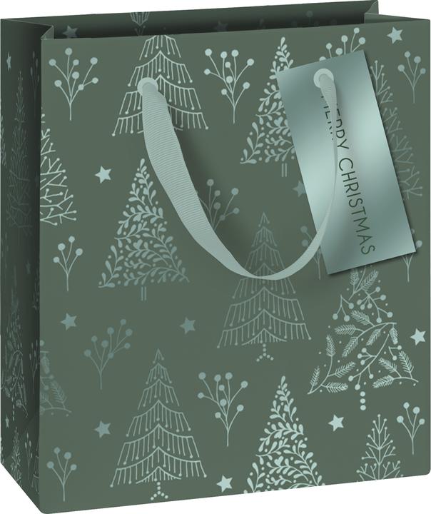 Image du produit Stewo Sac cadeau (Pochette cadeau, 1 x)
