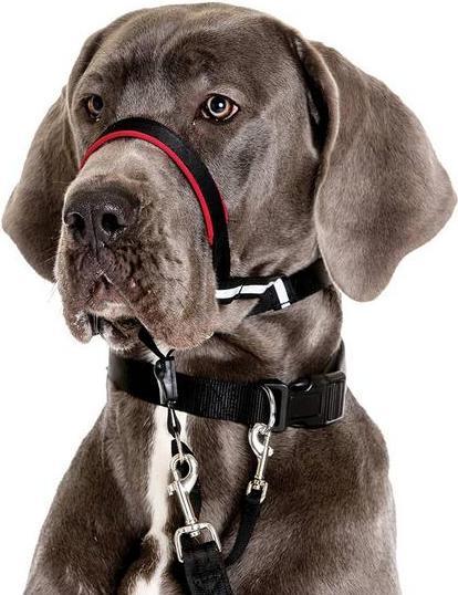 Immagine prodotto Company of Animals Halti Optifit Kopfgeschirr (S, Cane)