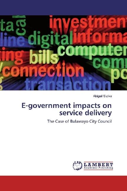 Actual product image E-government impacts on service delivery (Abigail Siziva, 2017)