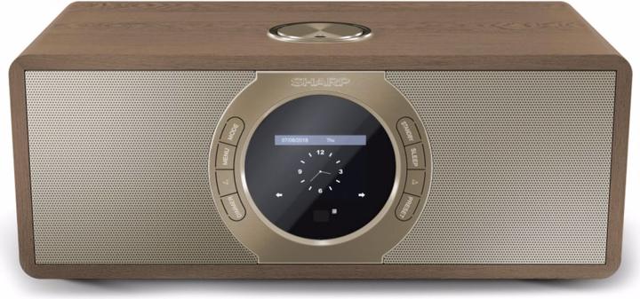 Produktbild Sharp DR-I470(BR)PRO (FM, DAB+, WLAN)