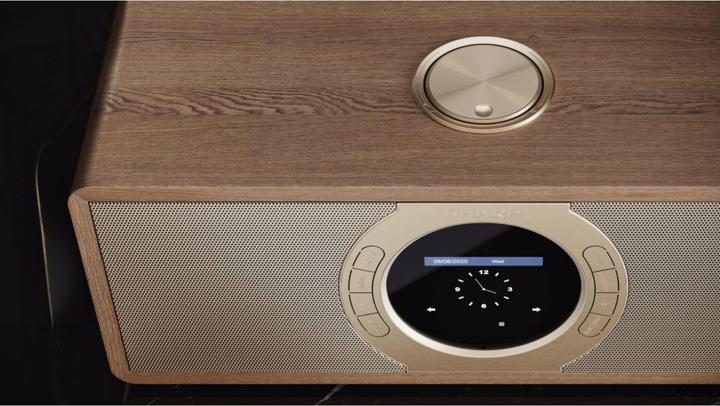 Produktbild Sharp DR-I470(BR)PRO (FM, DAB+, WLAN)