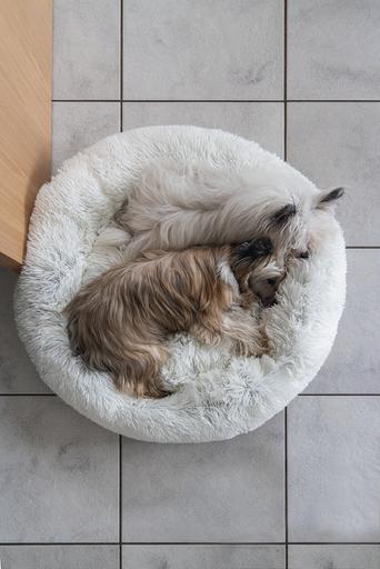 Image du produit Karlie Agnes (Chien)