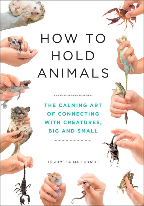 Immagine prodotto How to Hold Animals (Inglese, Toshimitsu Matsuhashi, 2020)