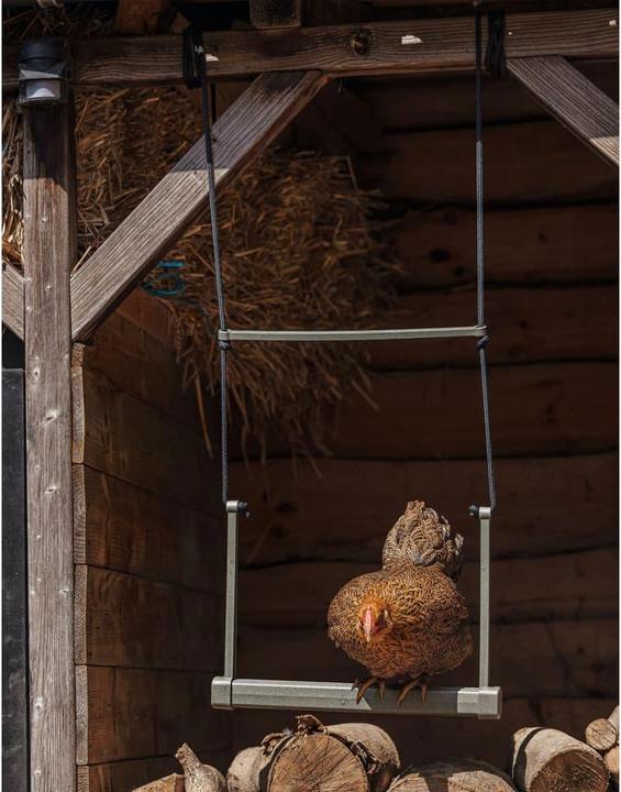 Actual product image Beeztees Feeding Station Chicken Swing, Grey