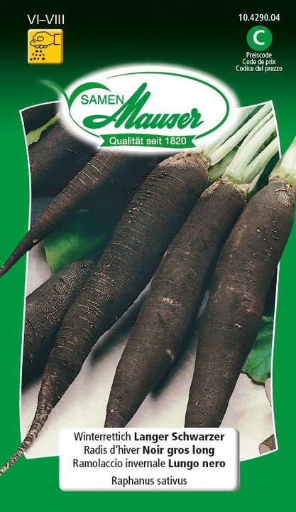 Samen Mauser Winter radish Long black (Vegetable seeds)