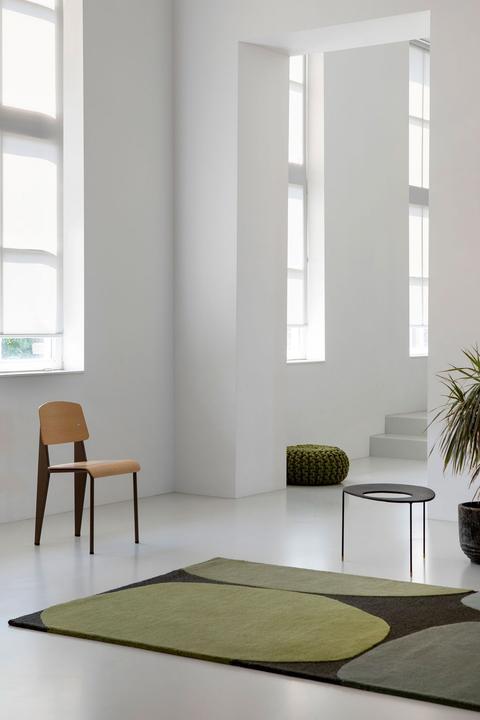Immagine prodotto Brink & Campman Decorazione (250 x 350 cm)