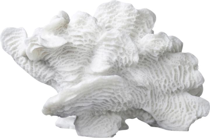 Image du produit Mette Ditmer Coral (13 x 24 x 16 cm)