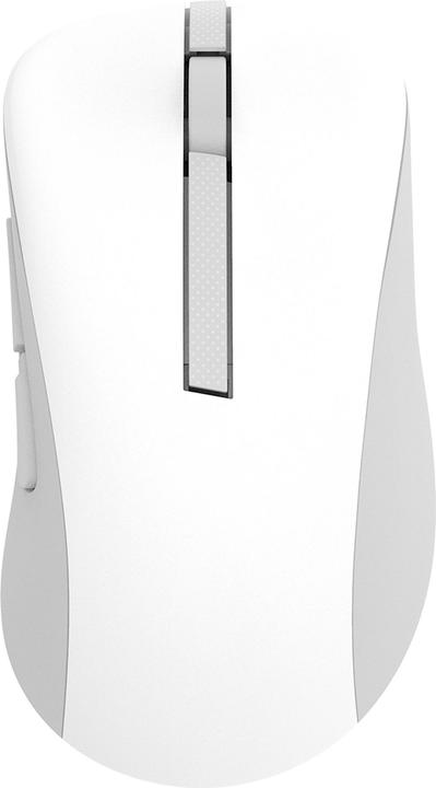 Productafbeelding ASUS MOUSE USB OPTICAL WRL MD102/WHITE 90XB0900-BMU000 (Draadloze)