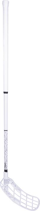 Salming Unihockeystock Ultralight Q1 F29-Links-100 cm (100 cm, Links)
