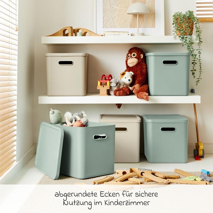 Actual product image Rotho Babydesign Spielzeugbox KAYO L Cappuccino