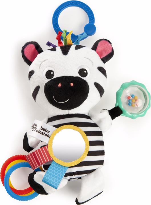 Baby Einstein Gioco sensoriale di Zen