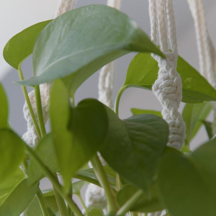 Actual product image Esmée Makramee Pflanzenaufhänger Dekoration Geknüpftes Boho Accessoire 4er Set (28.50 cm)