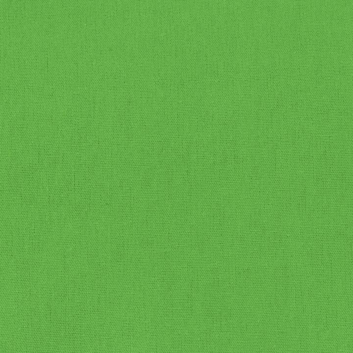 Image du produit Hama Fond vert (295 cm, 600 cm)