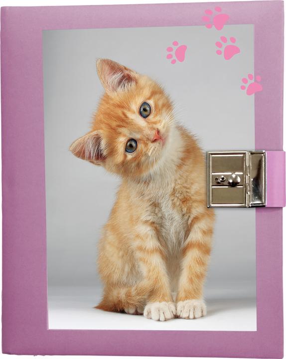 Immagine prodotto Eibert Visual Gattini (160 x 190 mm)