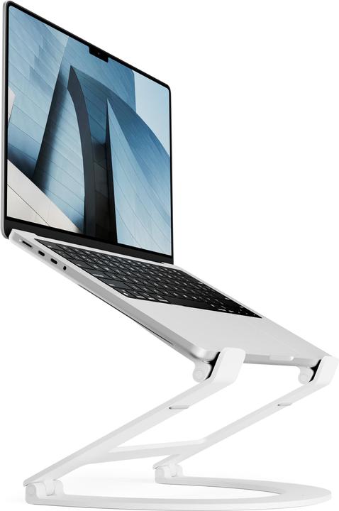 Actual product image TwelveSouth Curve Flex